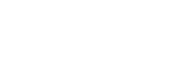 Eagle Consulting